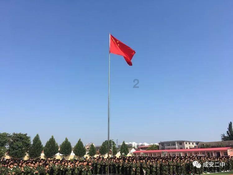 时尚小鸡救援